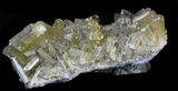 Gemmy, Golden Barite Crystals - Meikle Mine, Nevada #33712-1